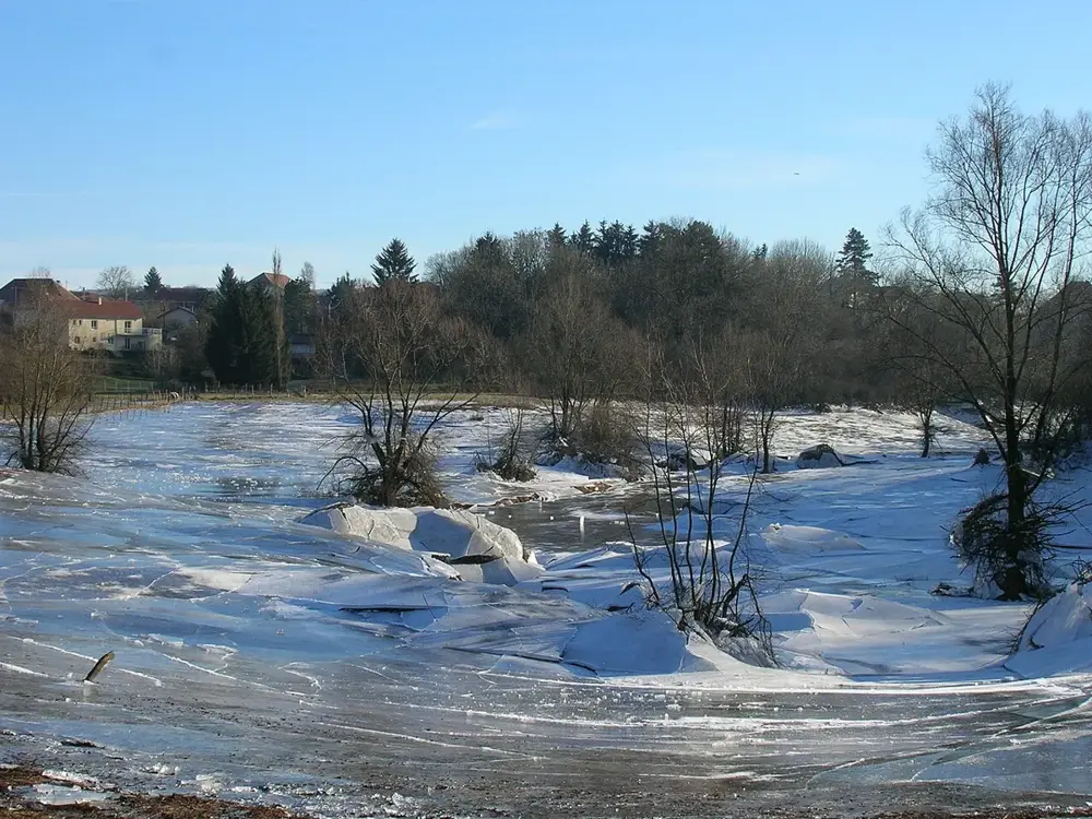 Marais de Saône 1